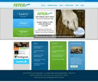 Fetchacure.org(FETCH a Cure's mission) Screenshot