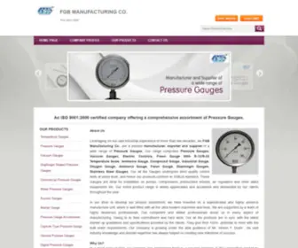 Fgbindia.com(Pressure Gauge Manufacturer) Screenshot