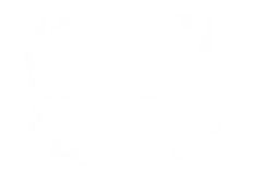 FH-Stenden.de Favicon