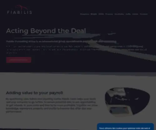 Fiabiliscg.com(Fiabilis Consulting Group) Screenshot