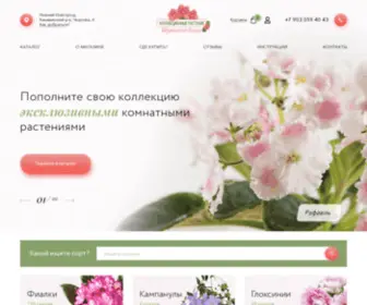Fialki52.ru(Комнатные цветы в Нижнем Новгороде) Screenshot