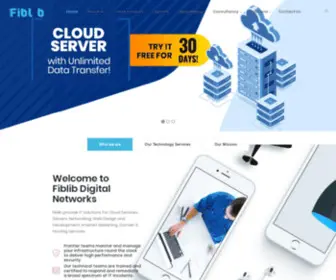 Fiblib.com(One Stop IT Solutions) Screenshot