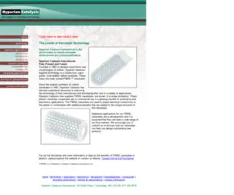 Fibrils.com(Hyperion Catalysis International) Screenshot