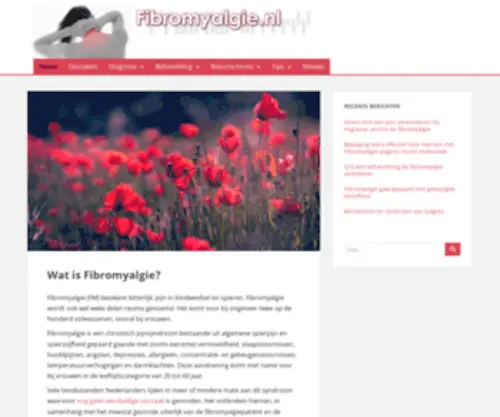 Fibromyalgie.nl(Welkom) Screenshot