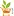 Fidansiparis.com Favicon