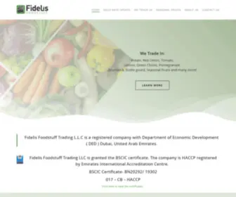 Fidelisfoodstuff.com(Fidelis Foodstuff) Screenshot