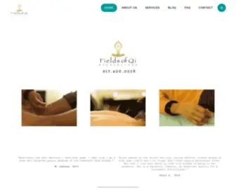 FieldsofQi.com(Acupuncture & Healing Arts) Screenshot