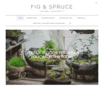 Figandspruce.com(Fig & Spruce) Screenshot