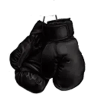 Fightfabriken.se Favicon