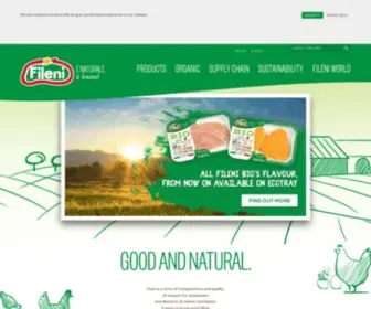 Fileni.com(Fileni) Screenshot