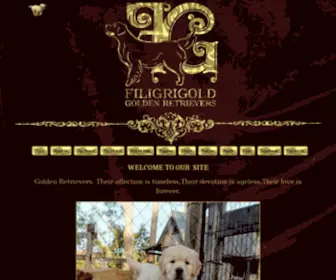 Filigrigold.com(Golden Retrievers Queensland) Screenshot