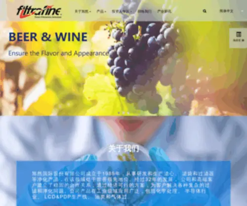 Filtrafine.com.cn(Filtrafine) Screenshot