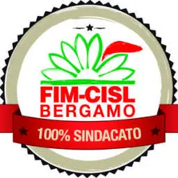 Fimbergamo.it Favicon