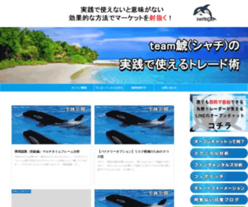 Financerteam.com(Team鯱の会員サイト) Screenshot