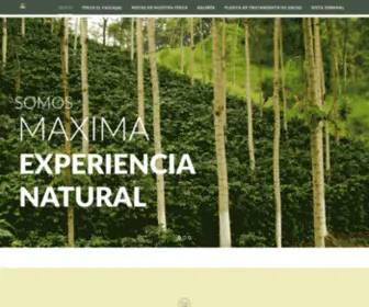 Fincaelcascajal.com(Maxima experiencia natural) Screenshot
