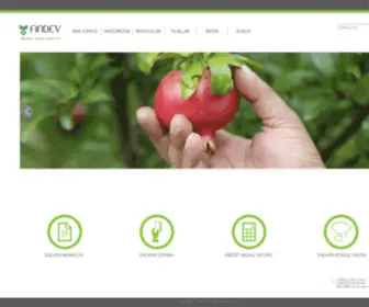 Findev-AZ.com(FINDEV) Screenshot