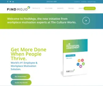 Findmojo.com(Motivation Assessment & Consulting) Screenshot