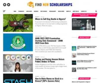 Findnewscholarships.com(Find New Scholarship) Screenshot