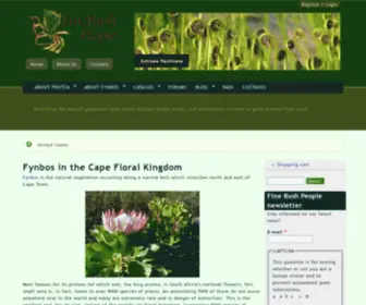 Finebushpeople.co.za(Fine Bush People) Screenshot