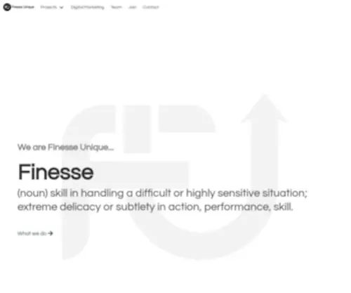 Finesseunique.com(Sports Sponsorships and Endorsements) Screenshot