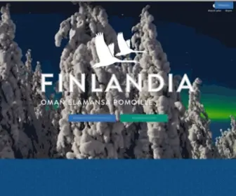 Finlandiagroup.fi(Finlandia Group) Screenshot
