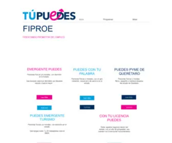 FiproeqRo.com(Inicio) Screenshot