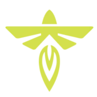 Fireflyspace.com Logo