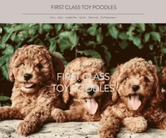Firstclasstoypoodles.com(First Class Toy Poodles) Screenshot
