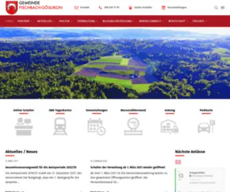 Fischbach-Goeslikon.ch(Willkommen in Fischbach) Screenshot