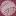 Fischer-Wolle.ch Favicon