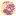 Fis.edu Favicon