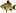 Fishing-Inform.com.ua Favicon