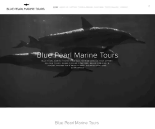 Fishingonhiltonhead.com(BLUE PEARL MARINE TOURS) Screenshot