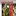 Fishinnet.net Favicon