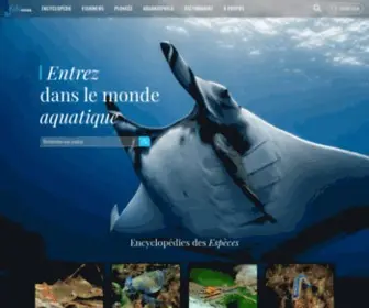 Fishipedia.fr(Fishipedia, l'encyclop) Screenshot