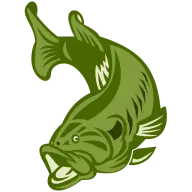 Fishneelyhenrylake.com Favicon