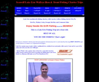 Fishsalmon.com(Lake Erie walleye fishing charters) Screenshot