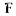 Fismen.com Favicon