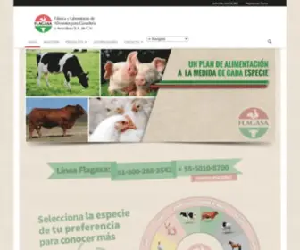 Flagasa.com(Agencia Nuba) Screenshot