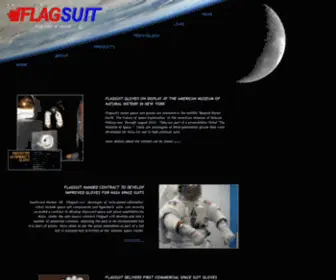 Flagsuit.com(Flagsuit LLC) Screenshot