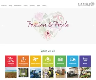 Flamingo.net(Home new) Screenshot
