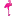 Flamingom.com Logo