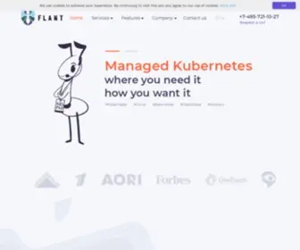 Flant.com(DevOps & Kubernetes) Screenshot