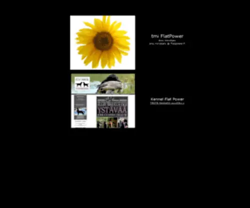 Flatpower.fi(Tmi flatpower) Screenshot