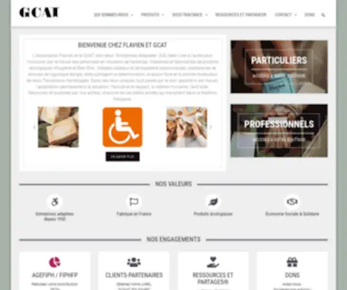 Flavien.fr(Flavien GCAT) Screenshot