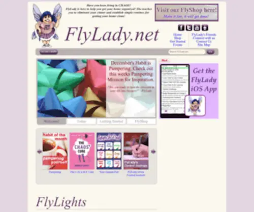 FLDY.net(FLDY) Screenshot