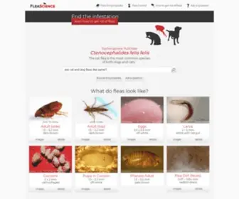 Fleascience.com(Flea control) Screenshot
