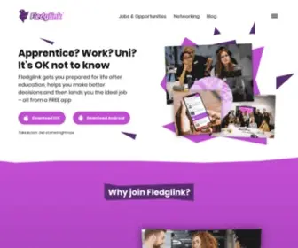 Fledglink.com(Fledglink Find the best early career opportunities) Screenshot