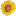 Fleur-DU-Soleil.com Favicon