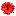 Fleuristebeaugeste.com Favicon